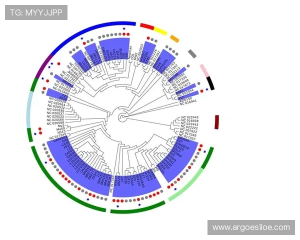 欧博代理登录：最新版本登录界面功能介绍与使用技巧